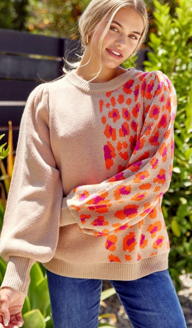 Color Block Leopard Print Pullover